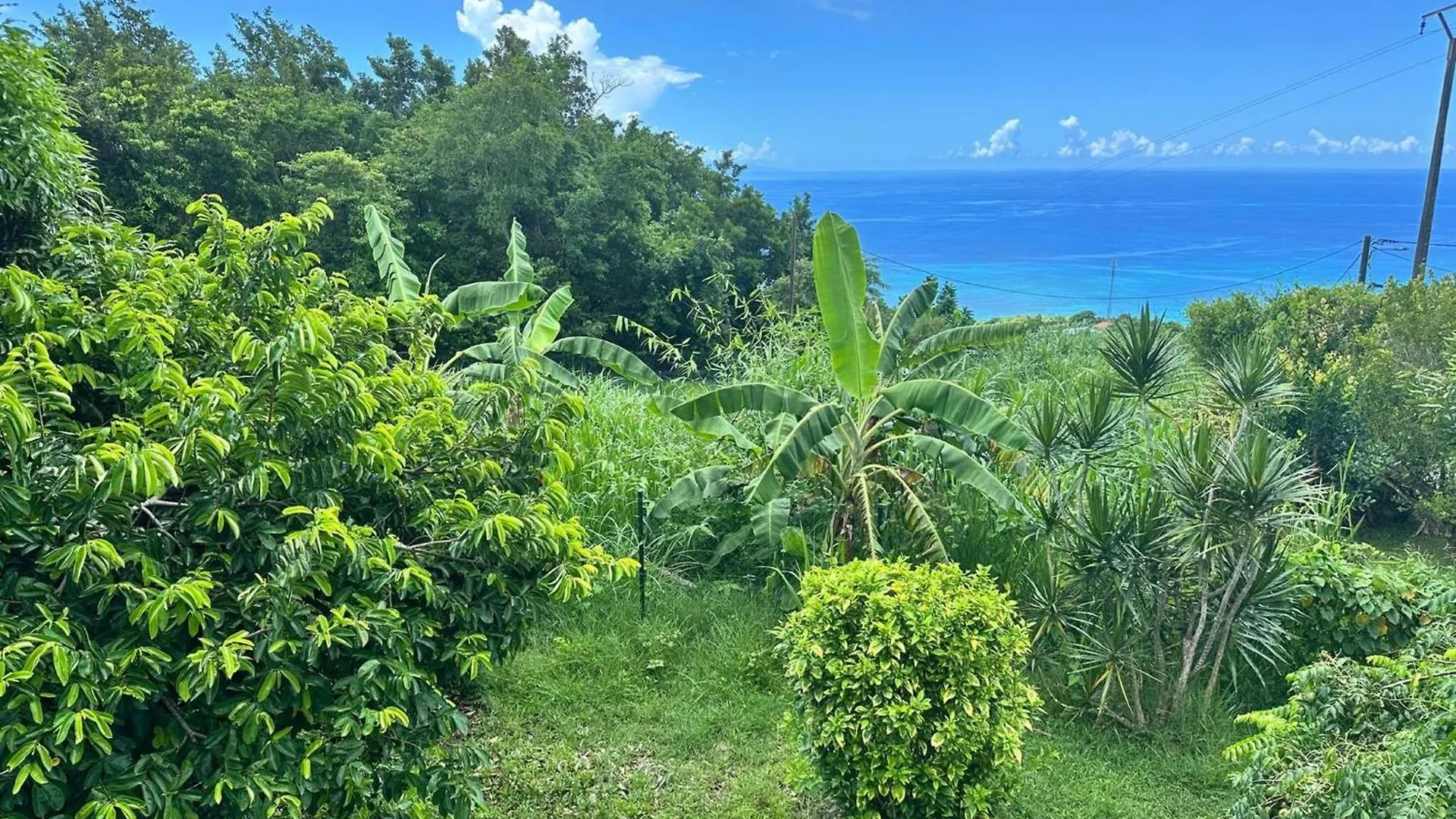 Sweet Villa, Piscine, Vue Panoramique Sur La Mer, Proche Plage, Sainte Luce 0*, Sainte-Luce